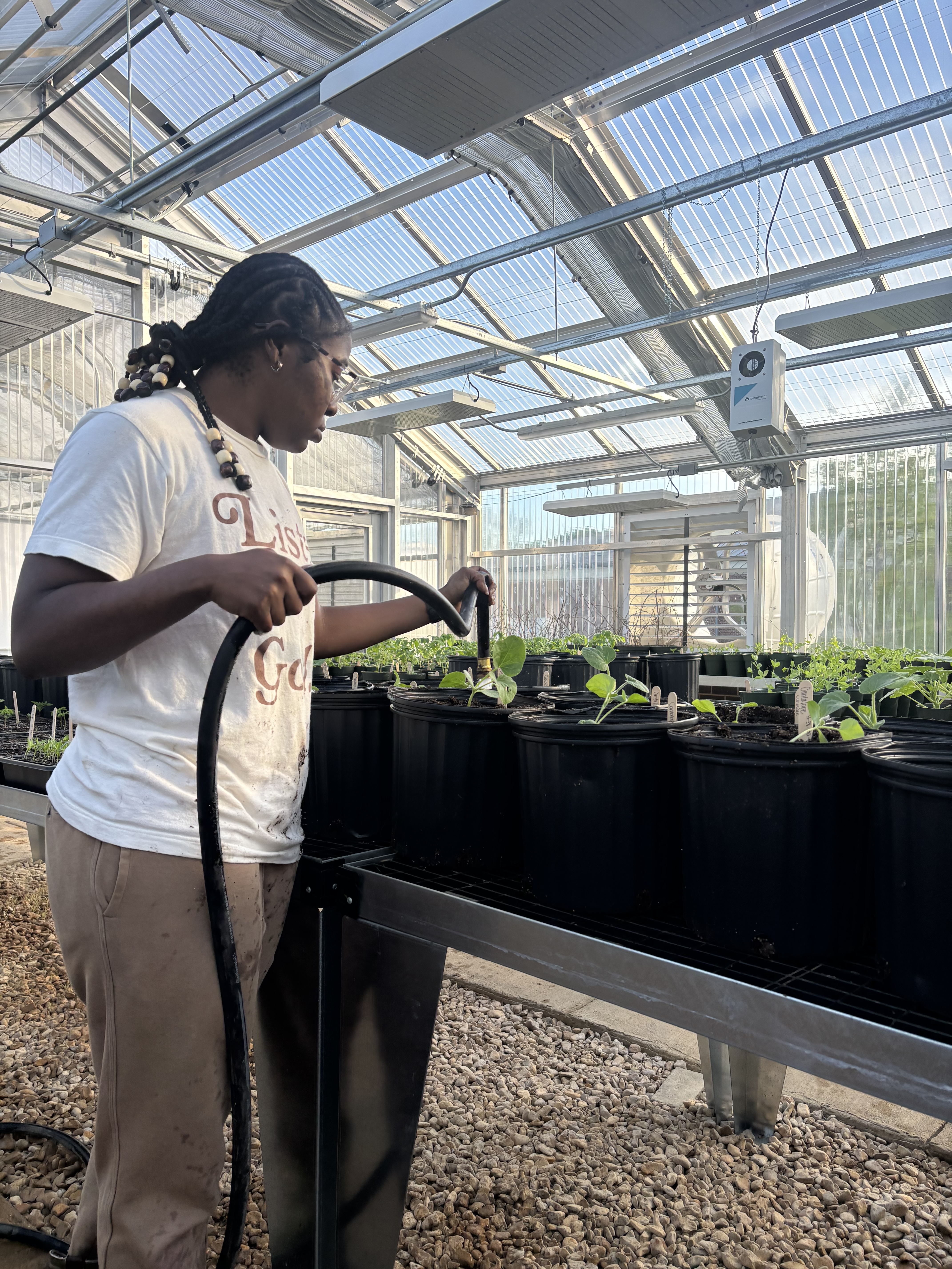 Mersie Watkins watering potted plants inside a greenhouse.